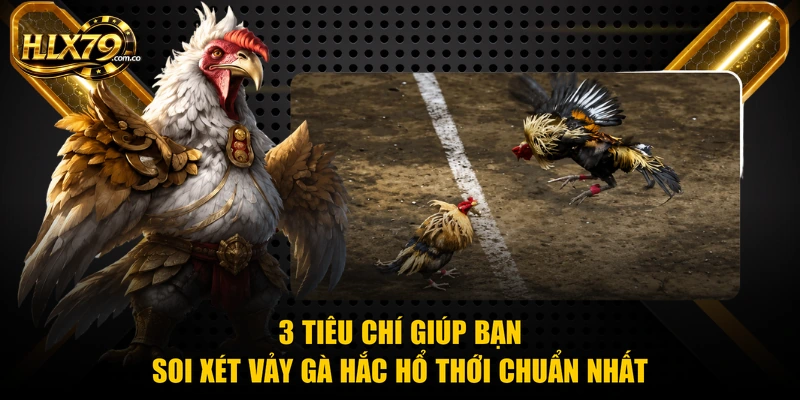 Gà Hắc Hổ Thới - Chiến Kê Cực Hiếm Và 4 Bí Quyết Nuôi Gà Hắc Hổ Thới - Chiến Kê Cực Hiếm Và 4 Bí Quyết Nuôi
