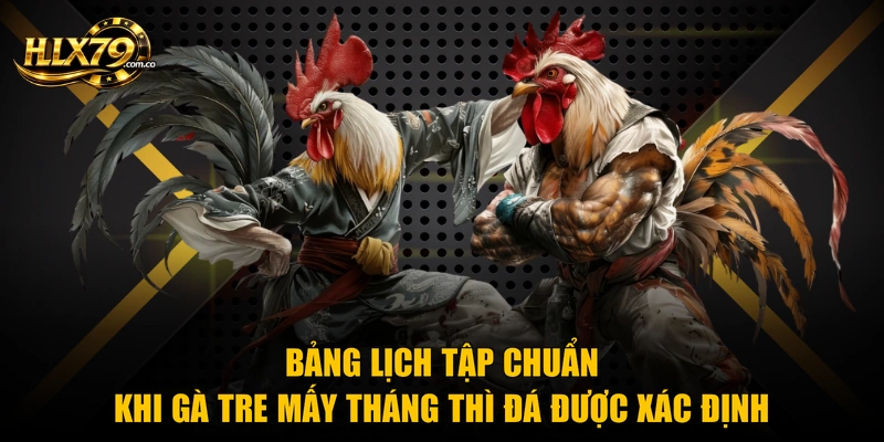 Gà Tre Mấy Tháng Thì Đá Được Theo Kinh Nghiệm Chuyên Gia