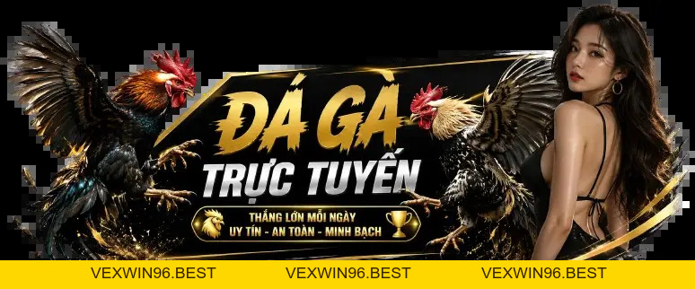 HLX79 – Đá Gà Trực Tiếp HD, Xem Đá Gà Thomo Hôm Nay