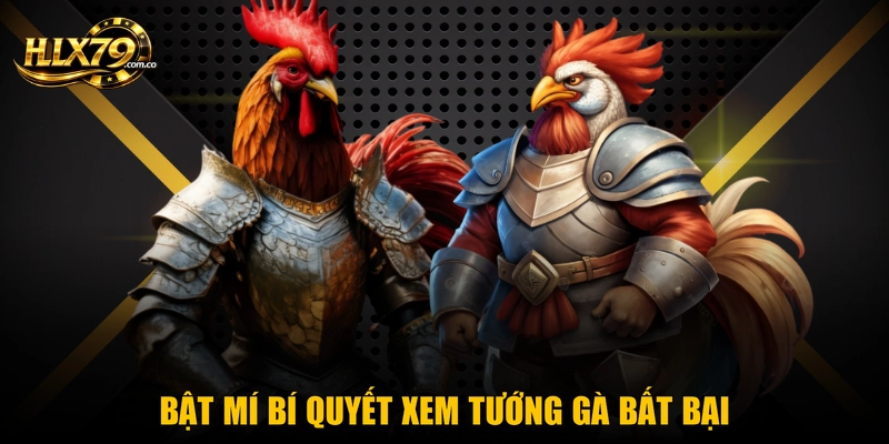 Xem Tướng Gà Chọi – Nghệ Thuật Chọn Chiến Kê Cực Chuẩn Xem Tướng Gà Chọi – Nghệ Thuật Chọn Chiến Kê Cực Chuẩn