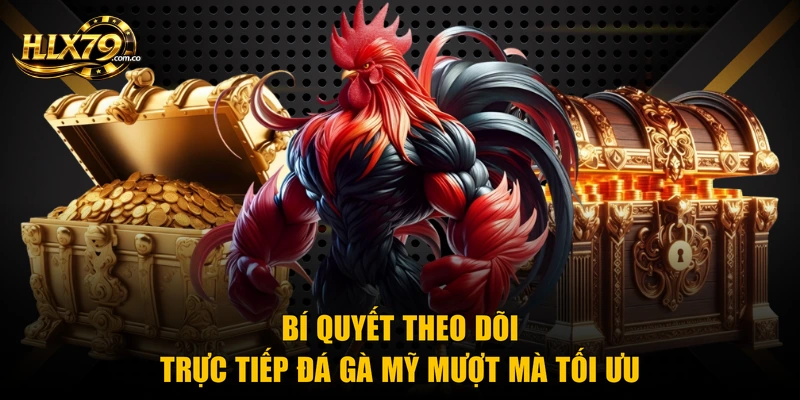 Trực Tiếp Đá Gà Mỹ - Xem Video Chuẩn HD 24/7 Tại Hlx79