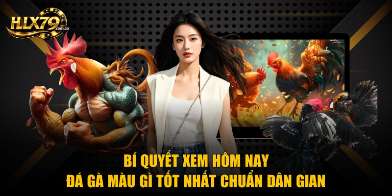 Hôm Nay Đá Gà Màu Gì Tốt Nhất - Hướng Dẫn Xem Chuẩn Xác