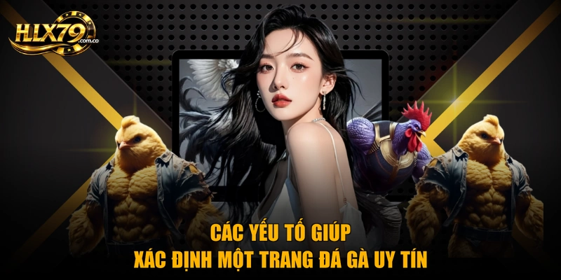 Trang Đá Gà Uy Tín - Top Địa Chỉ Chất Lượng Nhất 2026
