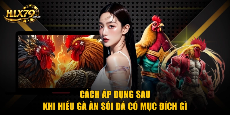 Gà Ăn Sỏi Đá Có Mục Đích Gì? 3 Vai Trò Sinh Học Quan Trọng