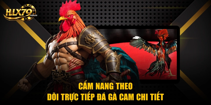 Trực Tiếp Đá Gà Cam Chuẩn HD Số 1 Ở Nền Tảng Hlx79 Trực Tiếp Đá Gà Cam Chuẩn HD Số 1 Ở Nền Tảng Hlx79