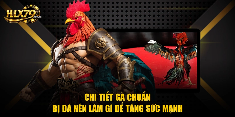 Gà Chuẩn Bị Đá Nên Làm Gì - Bí Quyết Chuẩn Từ Hlx 79 Gà Chuẩn Bị Đá Nên Làm Gì - Bí Quyết Chuẩn Từ Hlx 79