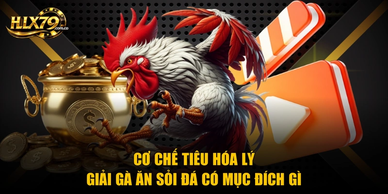 Gà Ăn Sỏi Đá Có Mục Đích Gì? 3 Vai Trò Sinh Học Quan Trọng