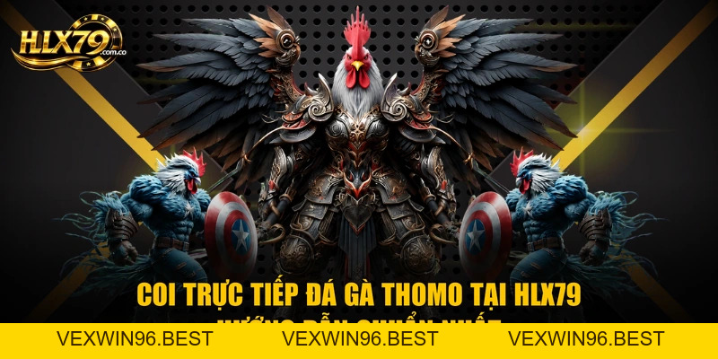 Coi Đá Gà Trực Tiếp Thomo Tại Hlx79 - Hướng Dẫn Chuẩn Nhất