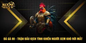 Blog Đá gà - hlx79