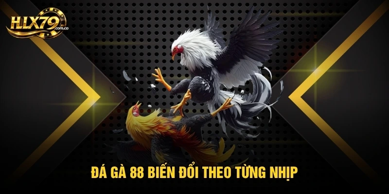 Đá Gà 88 - Trận Đấu Kịch Tính Khiến Người Xem Khó Rời Mắt