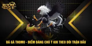 Blog Đá gà - hlx79