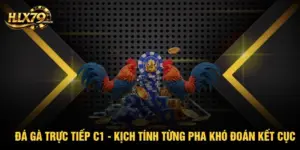 Blog Đá gà - hlx79