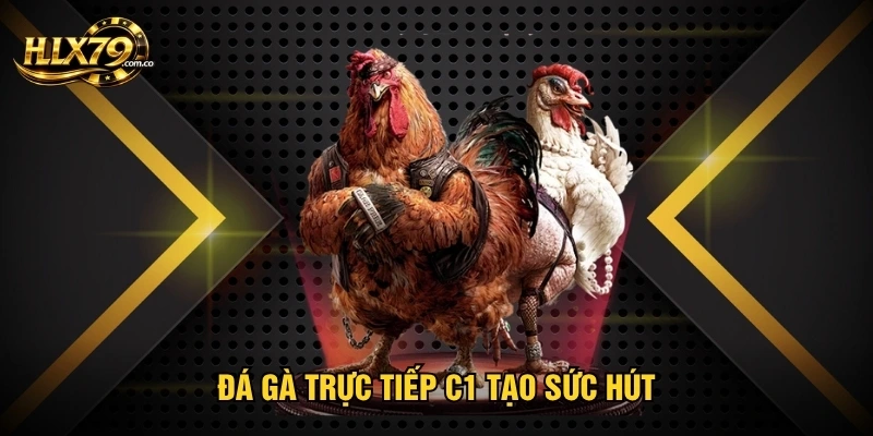 Đá Gà Trực Tiếp C1 - Kịch Tính Từng Pha Khó Đoán Kết Cục