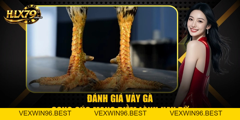 Vảy Gà Song Cúc Và 3 Dấu Hiệu Nhận Biết Chuẩn Từ Hlx 79