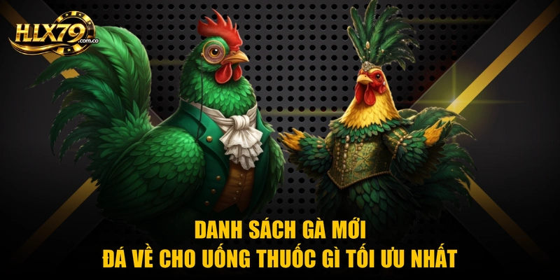 Gà Mới Đá Về Cho Uống Thuốc Gì Phục Hồi Nhanh Sau 24H