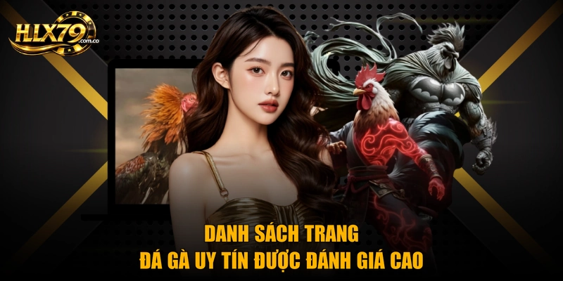 Trang Đá Gà Uy Tín - Top Địa Chỉ Chất Lượng Nhất 2026