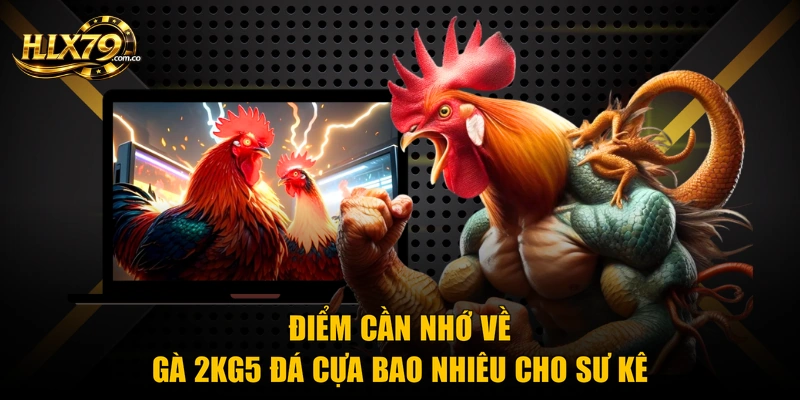Gà 2kg5 Đá Cựa Bao Nhiêu - Thông Tin Sư Kê Cần Nắm Gà 2kg5 Đá Cựa Bao Nhiêu - Thông Tin Sư Kê Cần Nắm
