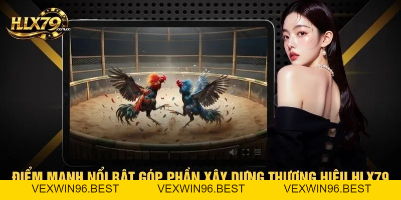 HLX79 – Đá Gà Trực Tiếp HD, Xem Đá Gà Thomo Hôm Nay HLX79 – Đá Gà Trực Tiếp HD, Xem Đá Gà Thomo Hôm Nay