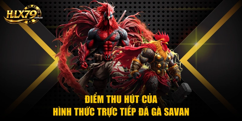 Trực Tiếp Đá Gà Savan Hlx79 – Trang Xem Chất Lượng Nhất 2026 Trực Tiếp Đá Gà Savan Hlx79 – Trang Xem Chất Lượng Nhất 2026