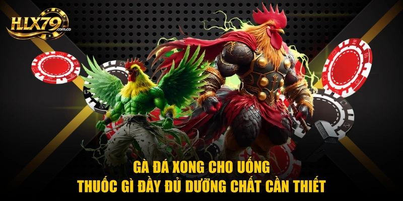 Gà Đá Xong Cho Uống Thuốc Gì Để Hồi Phục Nhanh Nhất Gà Đá Xong Cho Uống Thuốc Gì Để Hồi Phục Nhanh Nhất
