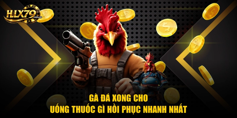 Gà Đá Xong Cho Uống Thuốc Gì Để Hồi Phục Nhanh Nhất Gà Đá Xong Cho Uống Thuốc Gì Để Hồi Phục Nhanh Nhất