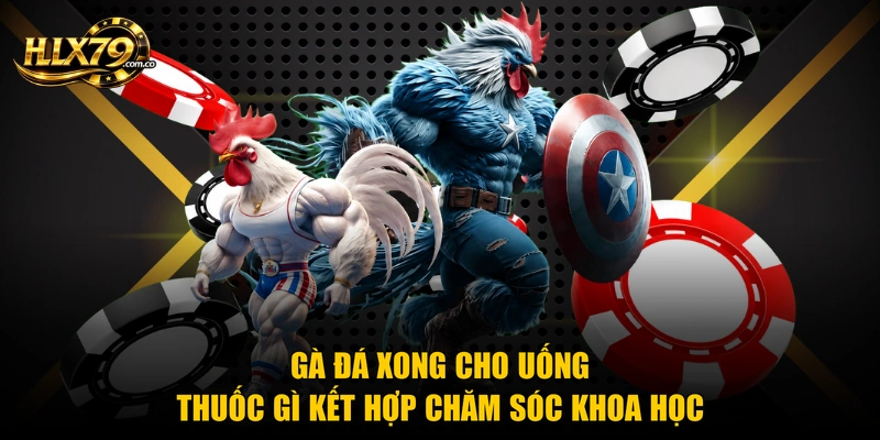 Gà Đá Xong Cho Uống Thuốc Gì Để Hồi Phục Nhanh Nhất Gà Đá Xong Cho Uống Thuốc Gì Để Hồi Phục Nhanh Nhất