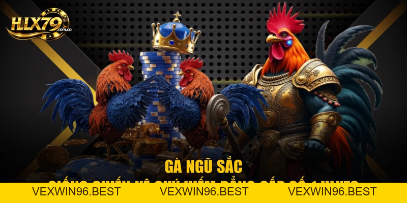 Gà Ngũ Sắc - Giống Chiến Kê Quý Hiếm Đẳng Cấp Số 1 Hlx79