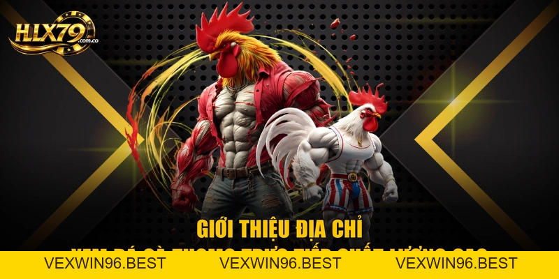 Coi Đá Gà Trực Tiếp Thomo Tại Hlx79 - Hướng Dẫn Chuẩn Nhất