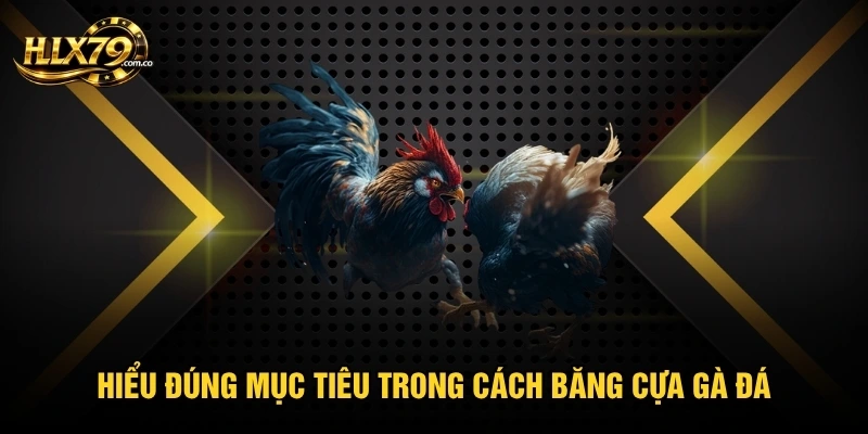 Cách Băng Cựa Gà Đá - Nguyên Tắc Giữ Chân Gà Luôn An Toàn