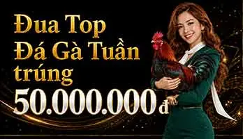 HLX79 – Đá Gà Trực Tiếp HD, Xem Đá Gà Thomo Hôm Nay