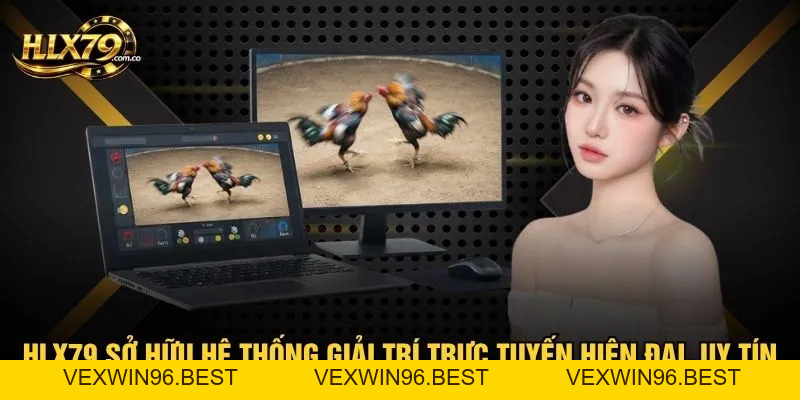 HLX79 – Đá Gà Trực Tiếp HD, Xem Đá Gà Thomo Hôm Nay HLX79 – Đá Gà Trực Tiếp HD, Xem Đá Gà Thomo Hôm Nay