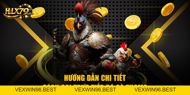 Coi Đá Gà Trực Tiếp Thomo Tại Hlx79 - Hướng Dẫn Chuẩn Nhất