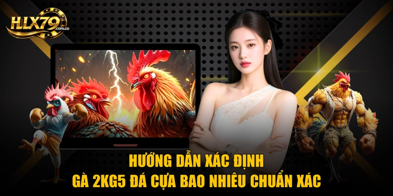 Gà 2kg5 Đá Cựa Bao Nhiêu - Thông Tin Sư Kê Cần Nắm Gà 2kg5 Đá Cựa Bao Nhiêu - Thông Tin Sư Kê Cần Nắm