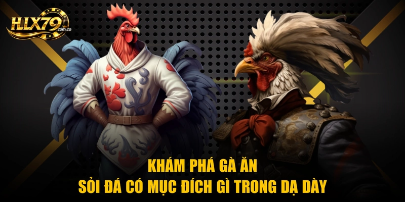 Gà Ăn Sỏi Đá Có Mục Đích Gì? 3 Vai Trò Sinh Học Quan Trọng
