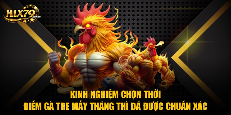 Gà Tre Mấy Tháng Thì Đá Được Theo Kinh Nghiệm Chuyên Gia