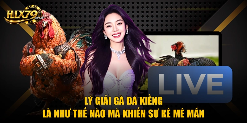 Gà Đá Kiềng Là Như Thế Nào Và 3 Bí Quyết Nhận Biết Chuẩn Gà Đá Kiềng Là Như Thế Nào Và 3 Bí Quyết Nhận Biết Chuẩn