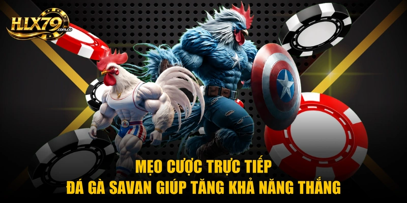 Trực Tiếp Đá Gà Savan Hlx79 – Trang Xem Chất Lượng Nhất 2026 Trực Tiếp Đá Gà Savan Hlx79 – Trang Xem Chất Lượng Nhất 2026
