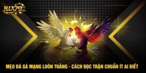 HLX79 – Đá Gà Trực Tiếp HD, Xem Đá Gà Thomo Hôm Nay