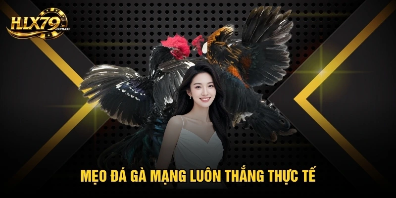 Mẹo Đá Gà Mạng Luôn Thắng - Cách Đọc Trận Chuẩn Ít Ai Biết Mẹo Đá Gà Mạng Luôn Thắng - Cách Đọc Trận Chuẩn Ít Ai Biết