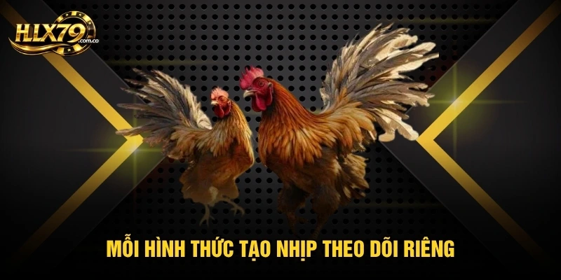 Đá Gà Thomo - Điểm Đáng Chú Ý Khi Theo Dõi Trận Đấu