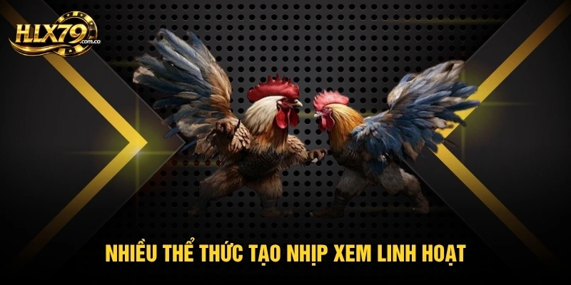 Đá Gà Trực Tiếp C1 - Kịch Tính Từng Pha Khó Đoán Kết Cục