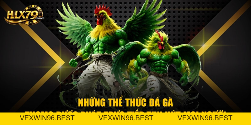 Coi Đá Gà Trực Tiếp Thomo Tại Hlx79 - Hướng Dẫn Chuẩn Nhất