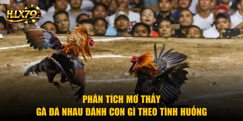 Mơ Thấy Gà Đá Nhau Đánh Con Gì Chuẩn Xác Từ Hlx79 Mơ Thấy Gà Đá Nhau Đánh Con Gì Chuẩn Xác Từ Hlx79