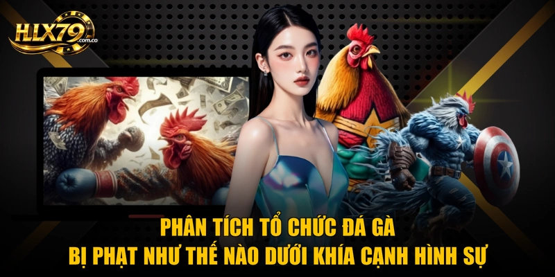 Tổ Chức Đá Gà Bị Phạt Như Thế Nào Theo Luật Mới Nhất Tổ Chức Đá Gà Bị Phạt Như Thế Nào Theo Luật Mới Nhất