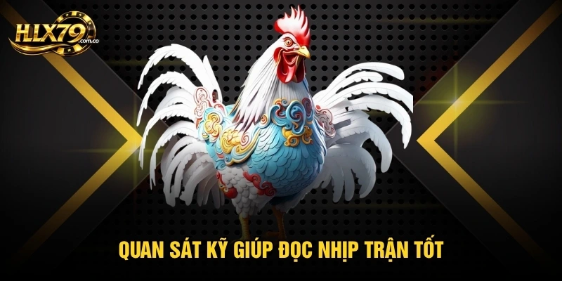 Đá Gà Thomo - Điểm Đáng Chú Ý Khi Theo Dõi Trận Đấu