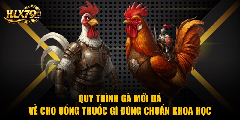 Gà Mới Đá Về Cho Uống Thuốc Gì Phục Hồi Nhanh Sau 24H