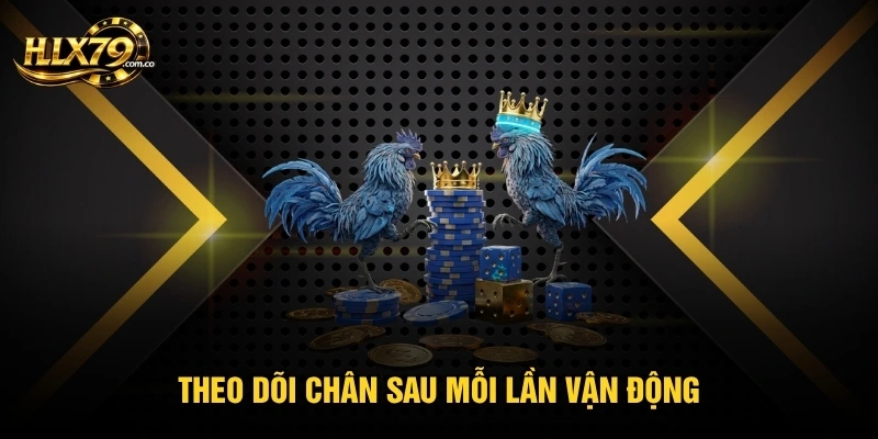 Cách Băng Cựa Gà Đá - Nguyên Tắc Giữ Chân Gà Luôn An Toàn