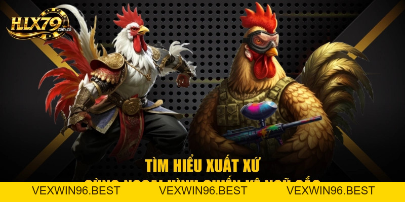 Gà Ngũ Sắc - Giống Chiến Kê Quý Hiếm Đẳng Cấp Số 1 Hlx79 Gà Ngũ Sắc - Giống Chiến Kê Quý Hiếm Đẳng Cấp Số 1 Hlx79
