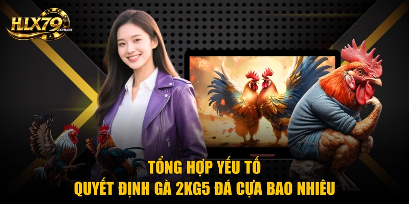 Gà 2kg5 Đá Cựa Bao Nhiêu - Thông Tin Sư Kê Cần Nắm Gà 2kg5 Đá Cựa Bao Nhiêu - Thông Tin Sư Kê Cần Nắm