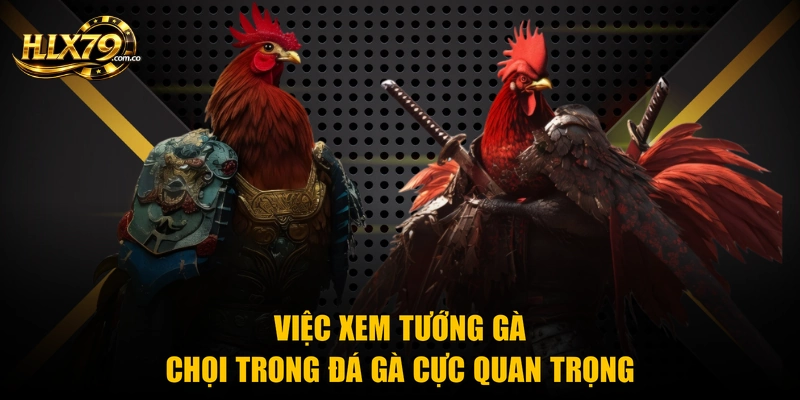 Xem Tướng Gà Chọi – Nghệ Thuật Chọn Chiến Kê Cực Chuẩn Xem Tướng Gà Chọi – Nghệ Thuật Chọn Chiến Kê Cực Chuẩn